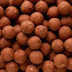 NATURALSEED20mm2kg Mussel Carp Fishing Boilies -Outlet Angler Roam Store k259b8d9f26f2fb1980f311765c7cb913