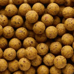 NATURALSEED20mm2kg Mussel Carp Fishing Boilies -Outlet Angler Roam Store k2b17452fdb5d37a183a7a0a3c0ab4ed5