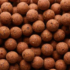 NATURALSEED20mm2kg Mussel Carp Fishing Boilies -Outlet Angler Roam Store k6604ed6fffba6be3769ef037611c156d