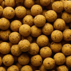 NATURALSEED20mm2kg Mussel Carp Fishing Boilies -Outlet Angler Roam Store k9ef5b69564b086d687659219bff24410