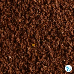 Gooster Special Big Roach Bait 4.75kg -Outlet Angler Roam Store kabfd9141fdac46792fb54ff90b30c54e