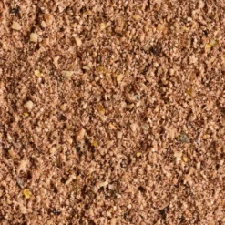 Gooster Special Big Roach Bait 4.75kg -Outlet Angler Roam Store kb6ab6fde72d6f801a8b18d9ae11d63b4